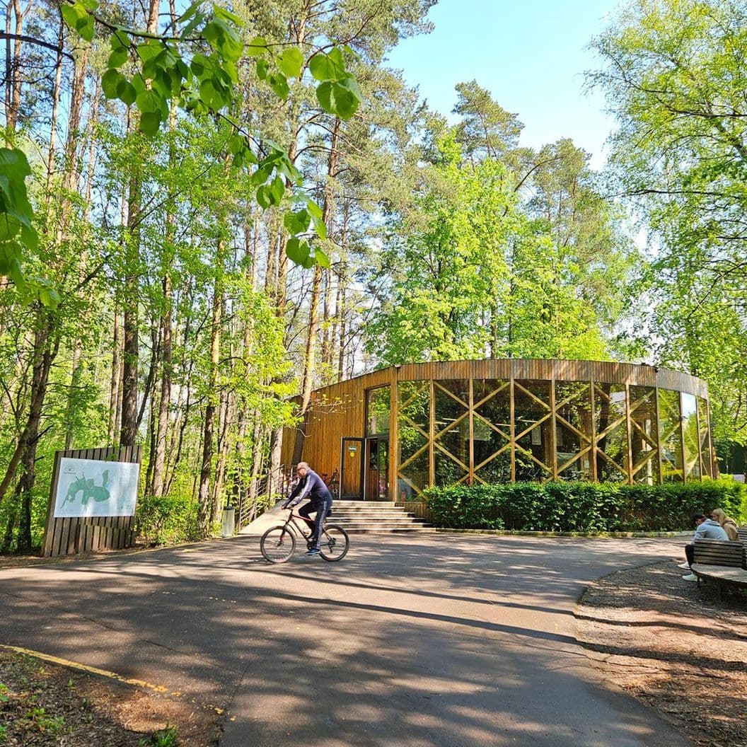 Moscow Children's Activities