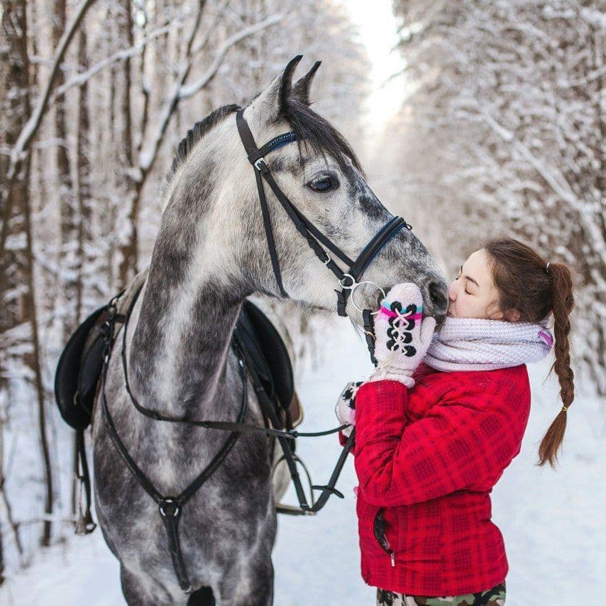 Купить Horseback Ride