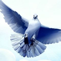 ИП ПОНОМАРЕВ ВЛАДИМИР НИКОЛАЕВИЧ