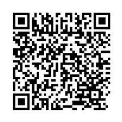 ИП ФРОЛОВА ЛАРИСА РАФИКОВНА