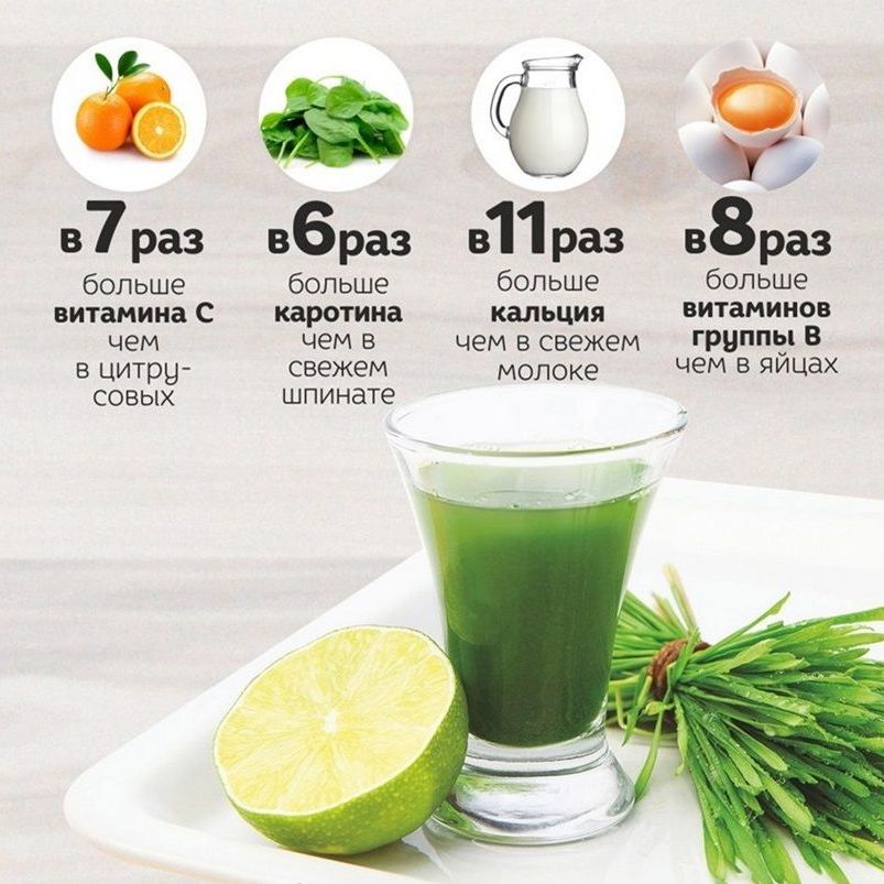 Польза витграсса