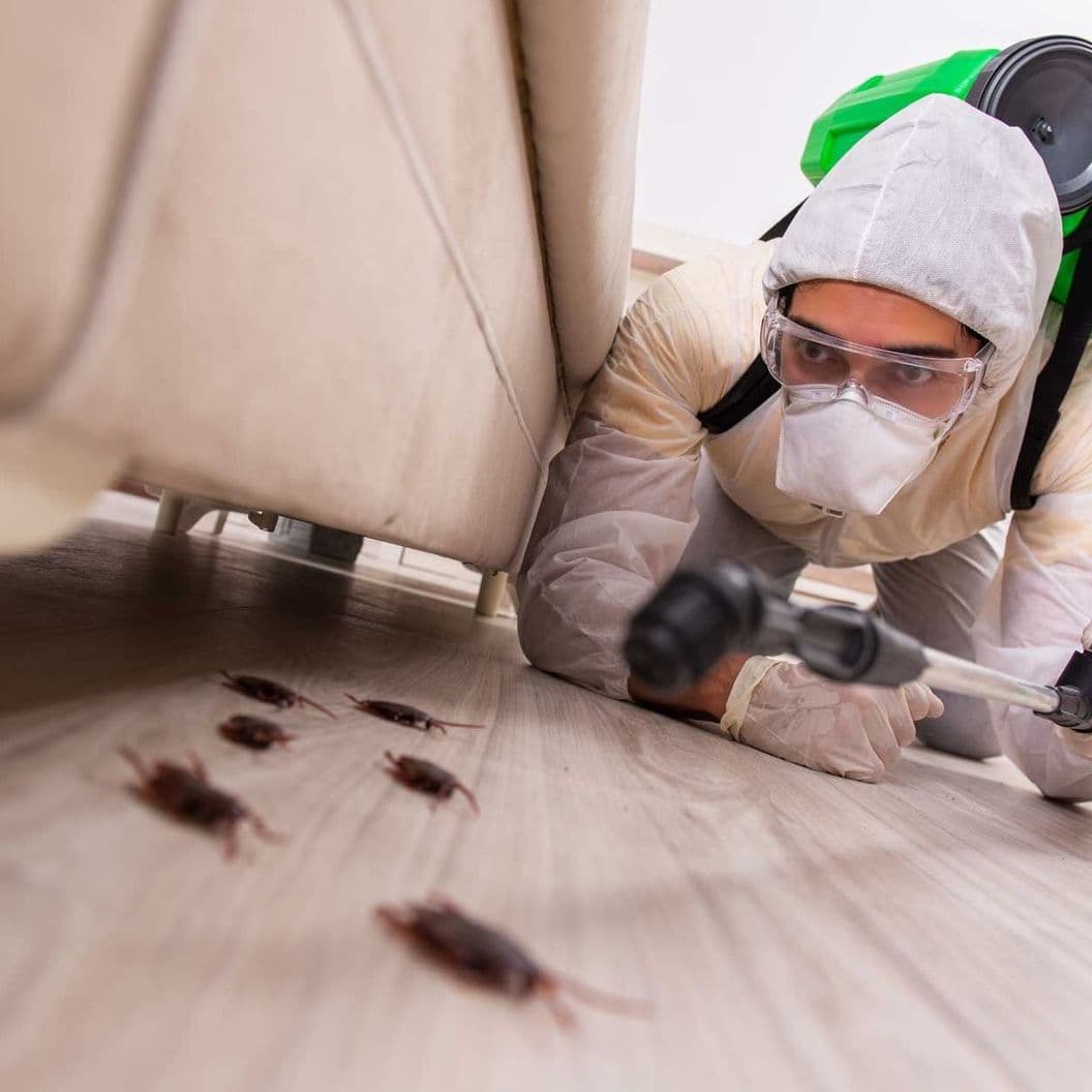 Наши преимущества