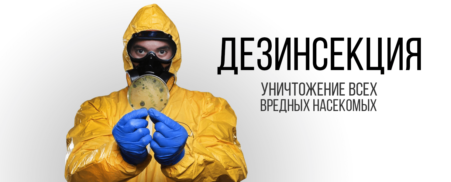 Профессиональное уничтожение:тараканов, клопов, клещей, крыс, мышей, плесени и запахов !Московская Компания "Единая Служба Дезинфекции"Открыла филиал