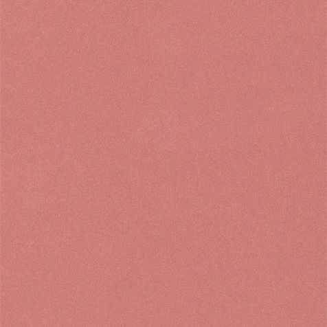 Купить ХАМЕЛЕОН