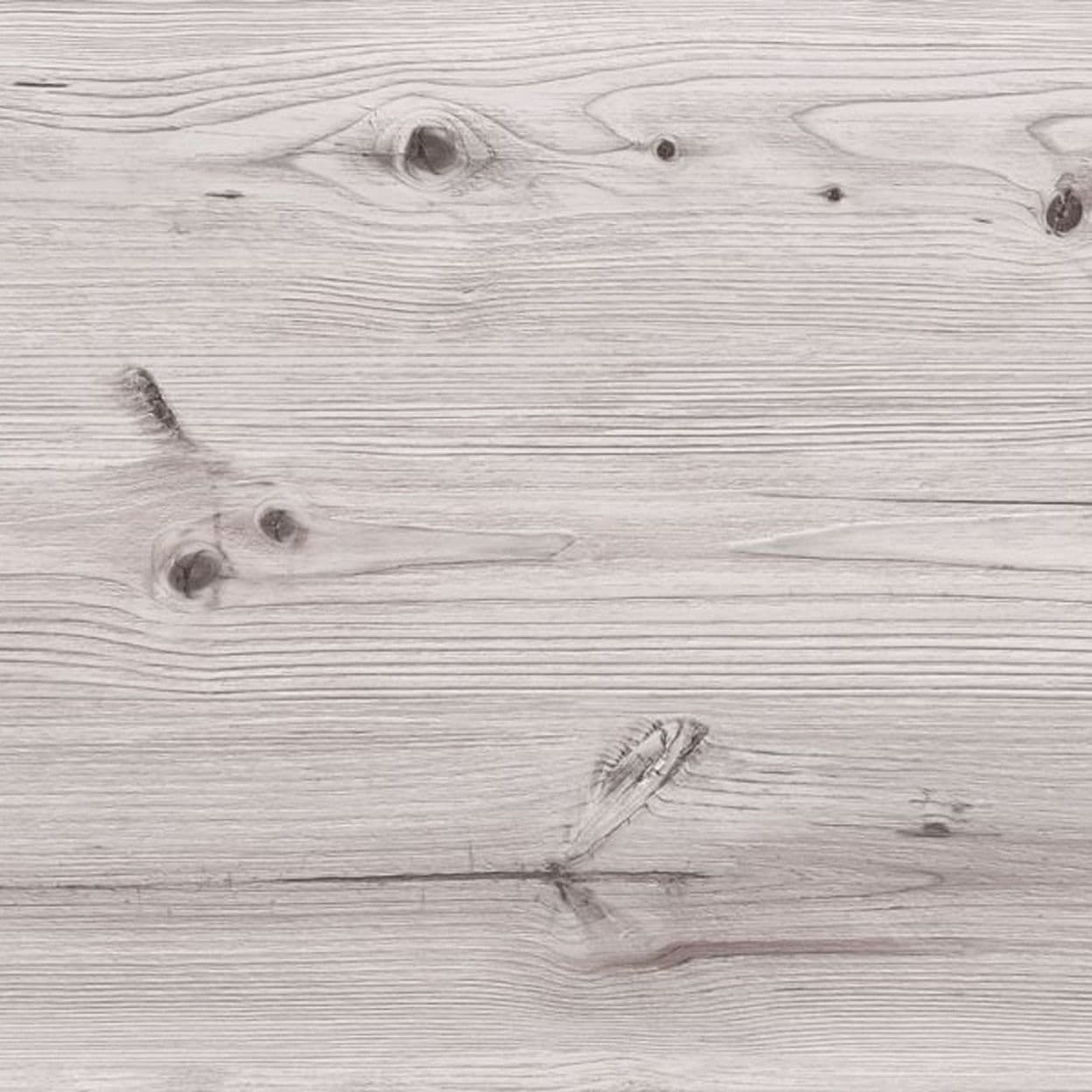 Купить БИСКАЙСКАЯ СОСНА