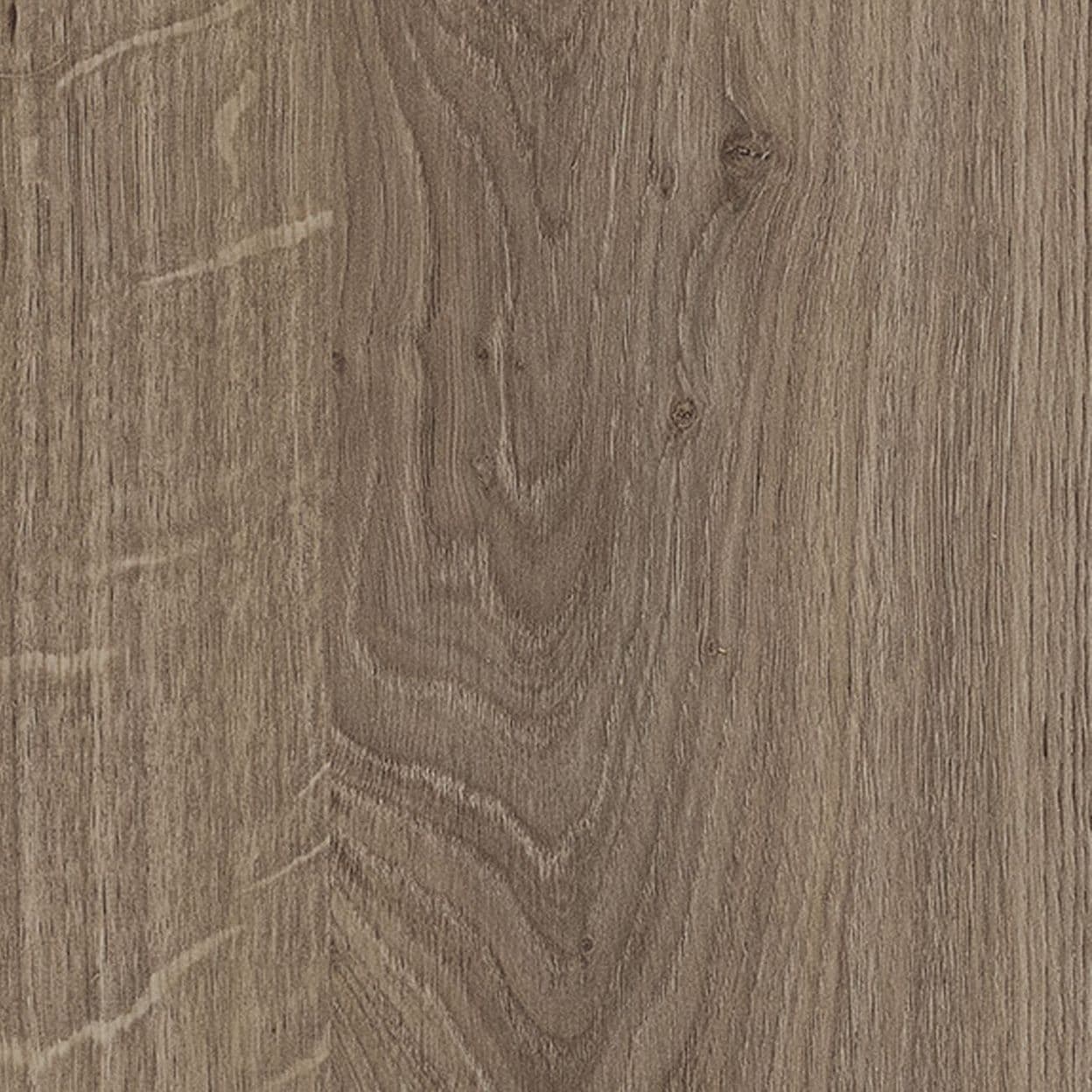 Купить Дуб Денвер трюфель