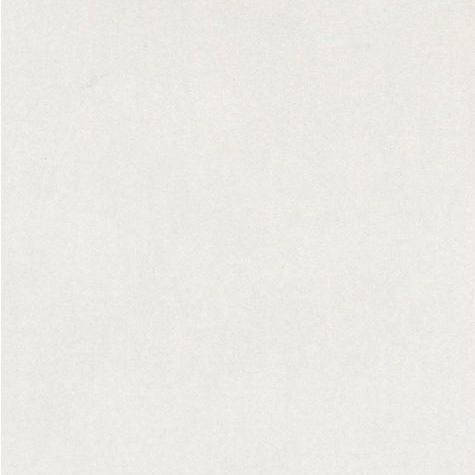 Купить БЕЛЫЙ ПЕРЛАМУТР