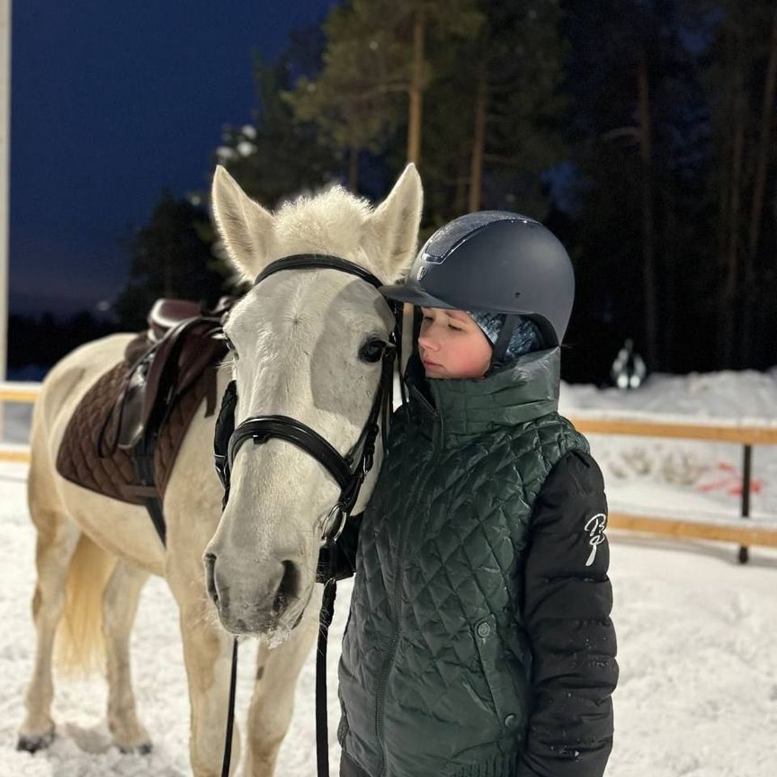 Орлик
