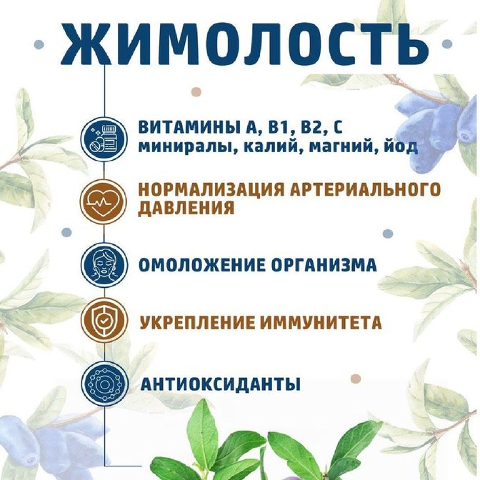 ПОЛЬЗА ЯГОД