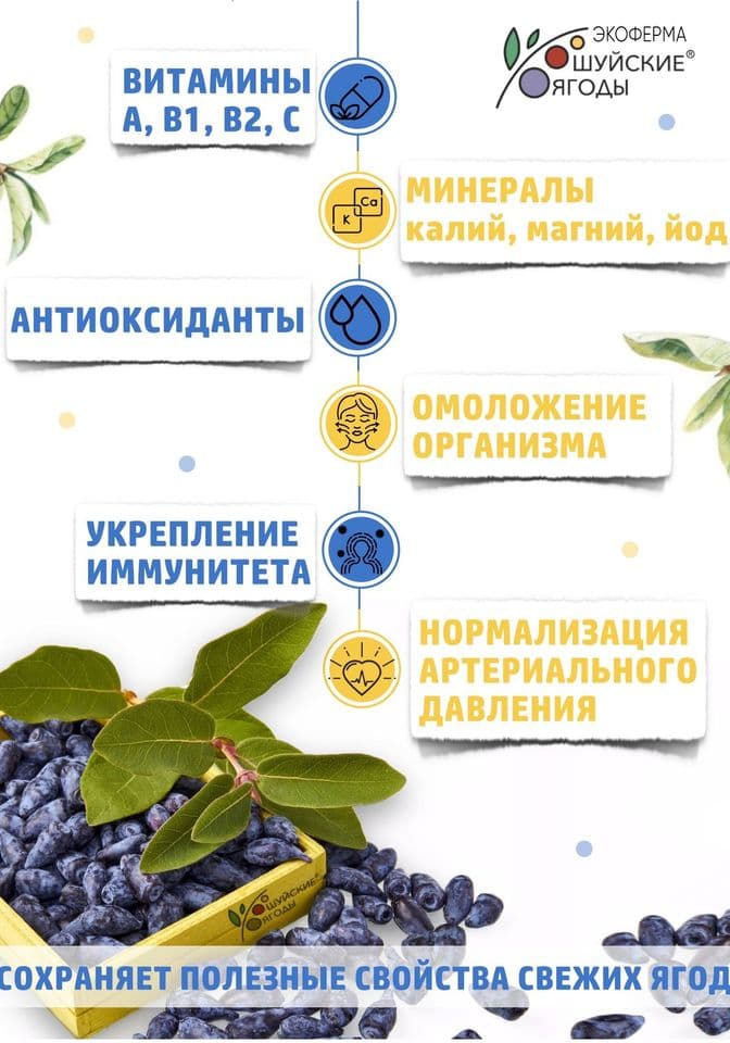ПОЛЬЗА ЯГОД