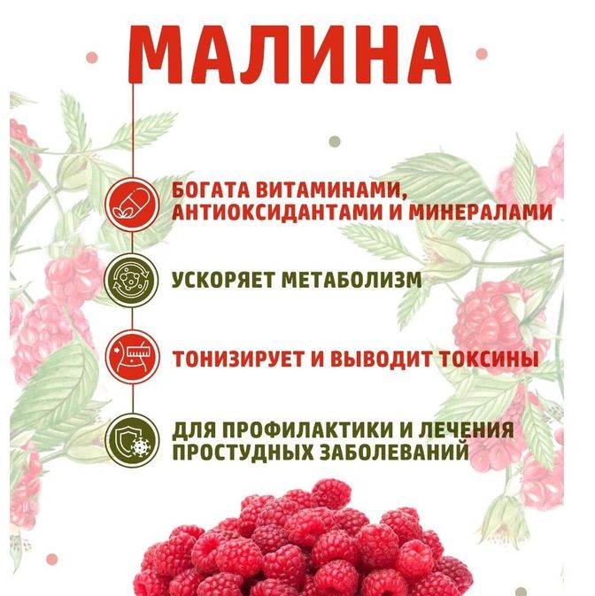 ПОЛЬЗА ЯГОД