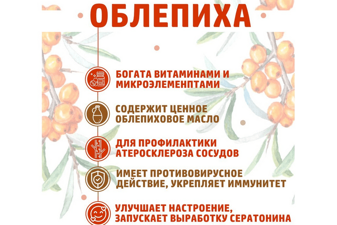 ПОЛЬЗА ЯГОД