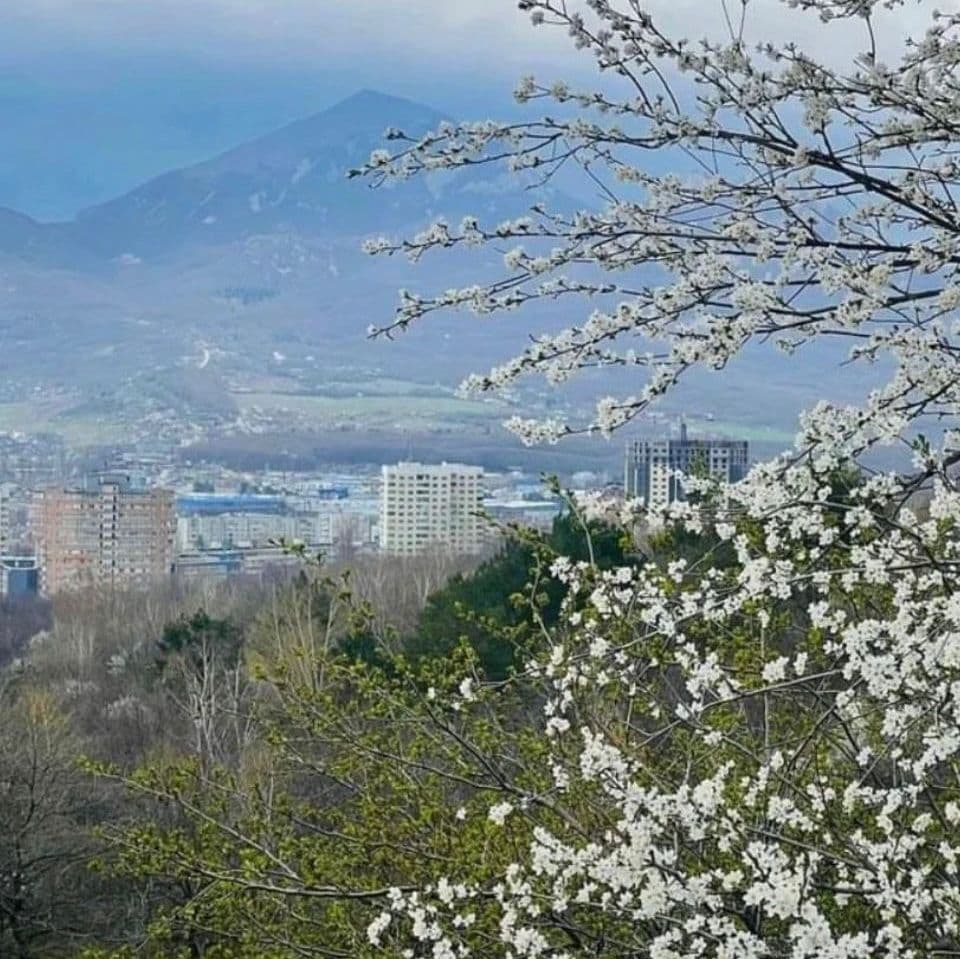 Белые скалы