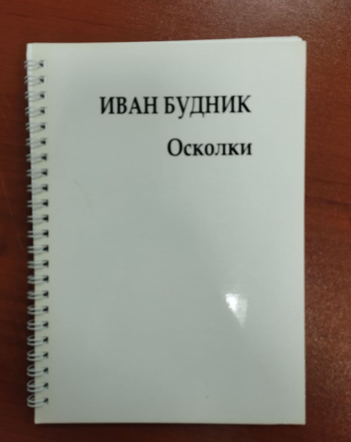 Осколки (2010)