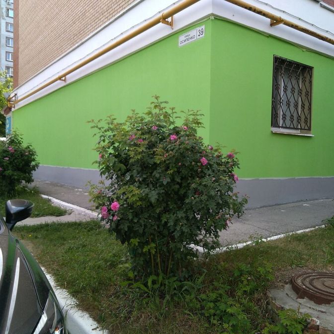 Многопрофильная Компания   Олимппредлагает широкий спектр услуг в различных областях. Мы объединяем опыт и знания профессионалов разных отраслей, чтоб