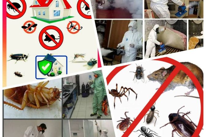 Многопрофильная Компания   Олимппредлагает широкий спектр услуг в различных областях. Мы объединяем опыт и знания профессионалов разных отраслей, чтоб