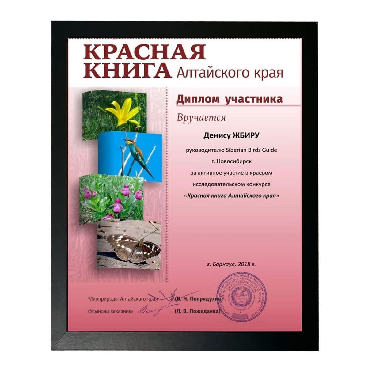Изображение