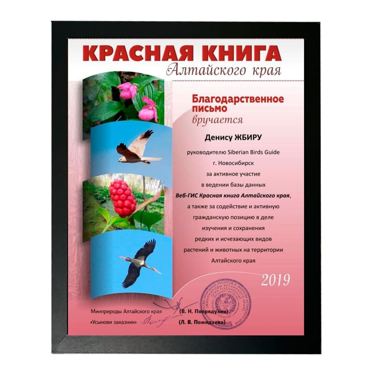 Изображение
