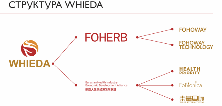 структура whieda
