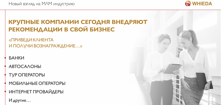 whieda презентация