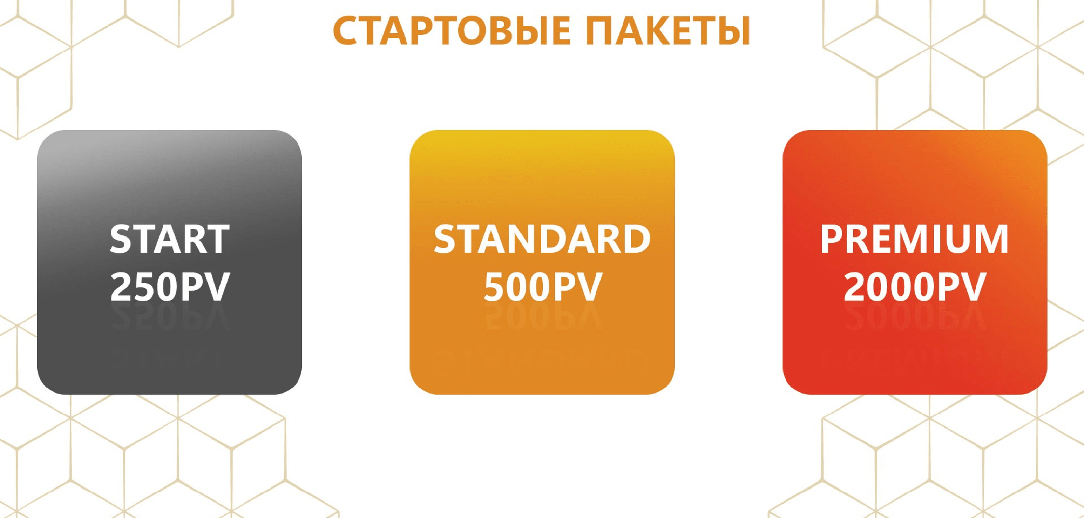 whieda стартовые пакеты виеда
