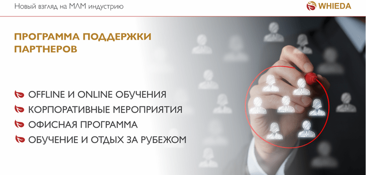 программа поддержки партнеров whieda