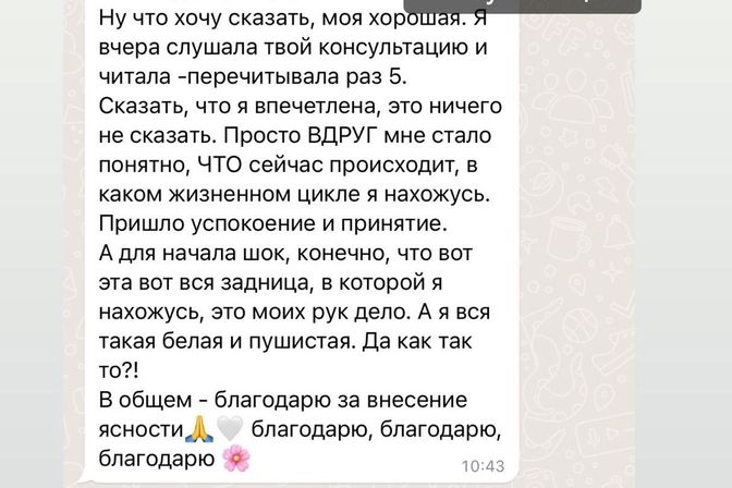 Отзывы