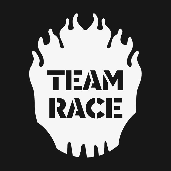 Купить TEAM RACE 