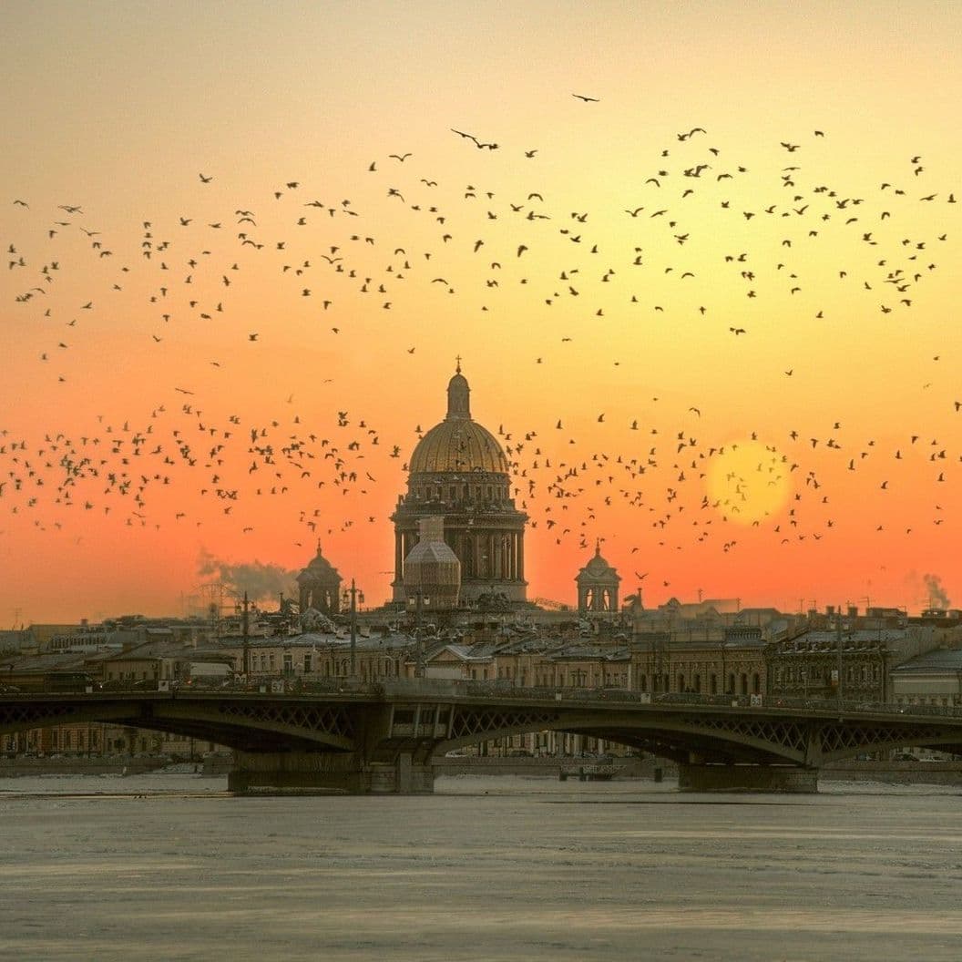 Купить ПЯТЬ МОСТОВ