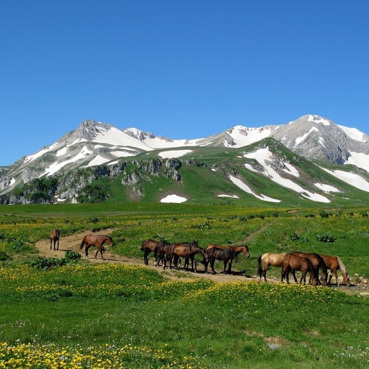 Купить Тур экскурсионный. Осень.