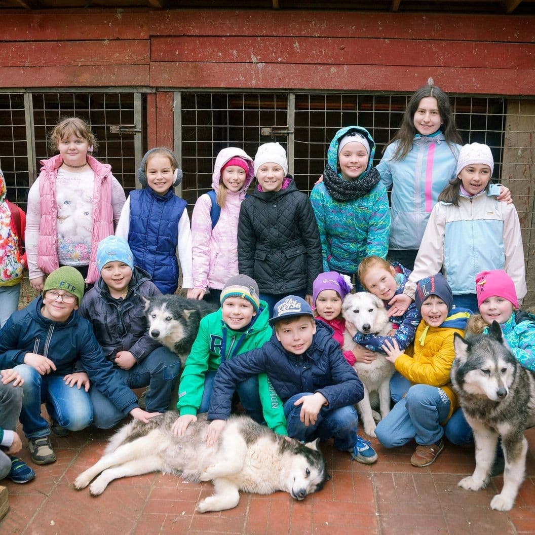 Купить Детские программы