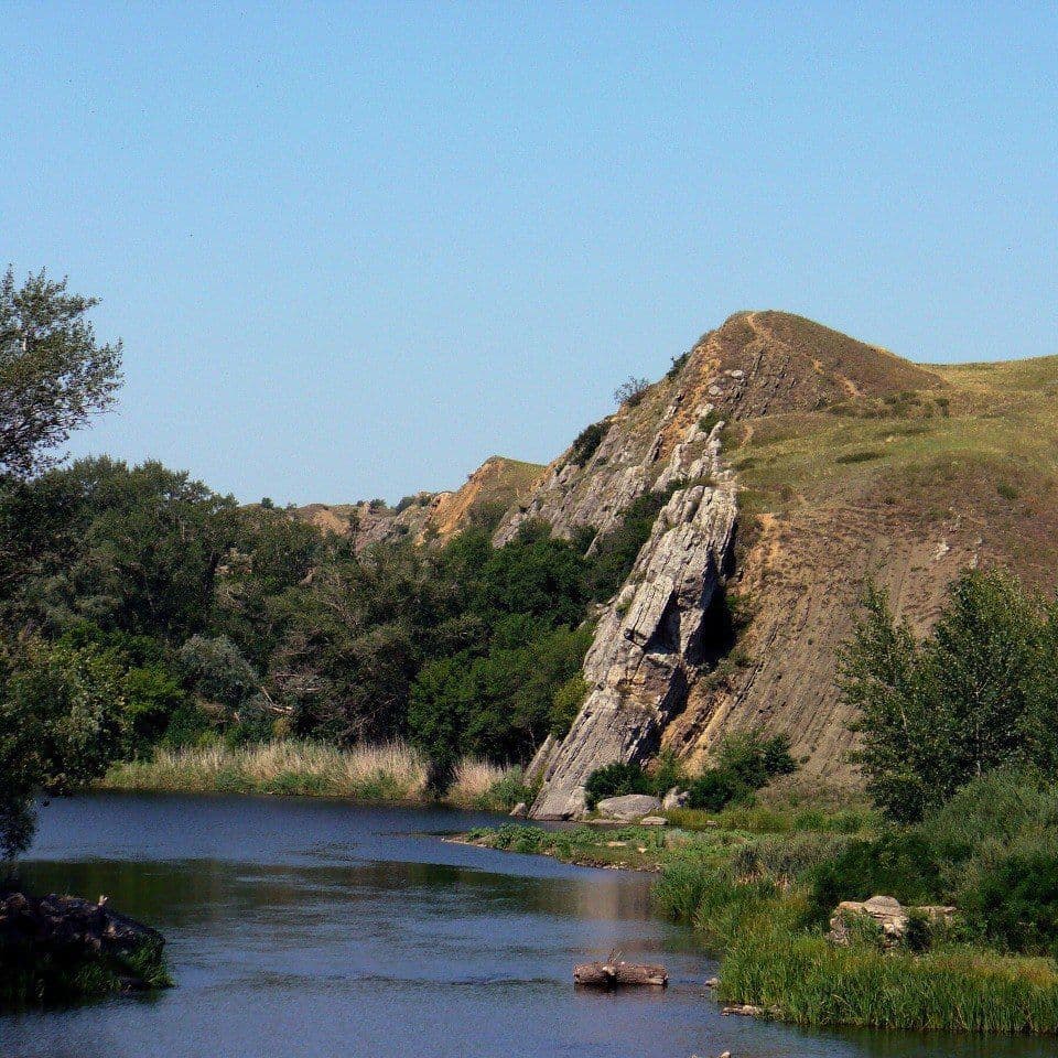 Купить Местные красоты 