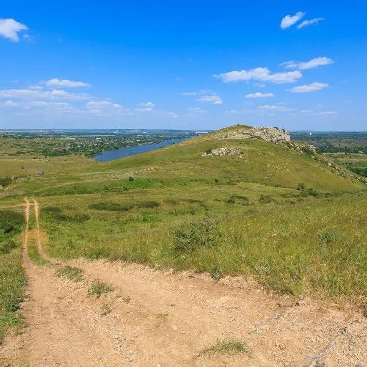 Купить Приглашаем на групповые заезды, слеты, вебинары и, конечно же, на семейный отдых и оздоровление. Вас ждут свежий воздух и наслаждение ароматом 