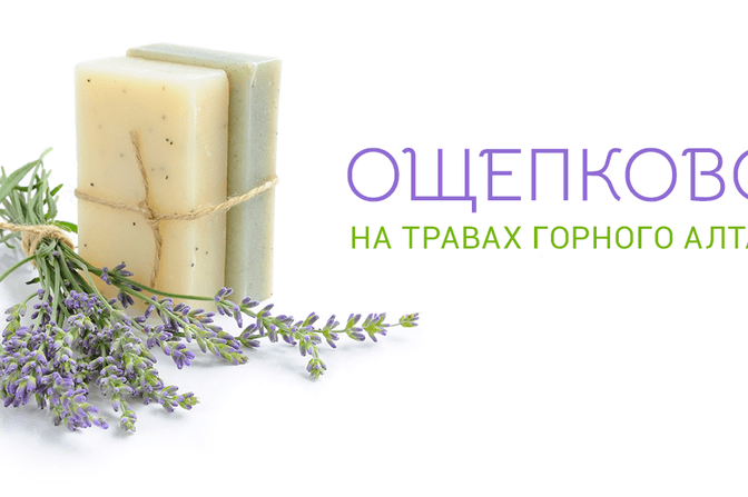 Наши партнеры