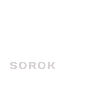 Сорокина Александра