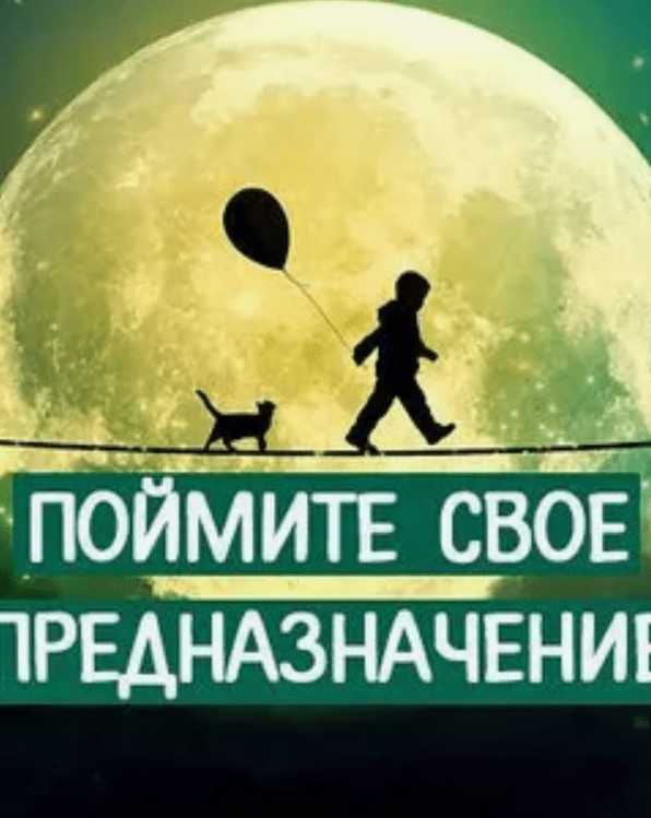 ПРЕДНАЗНАЧЕНИЕ, ПОРТРЕТ ЛИЧНОСТИ