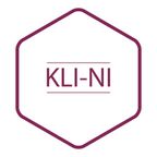 Логотип клининговая компания Kli-Ni