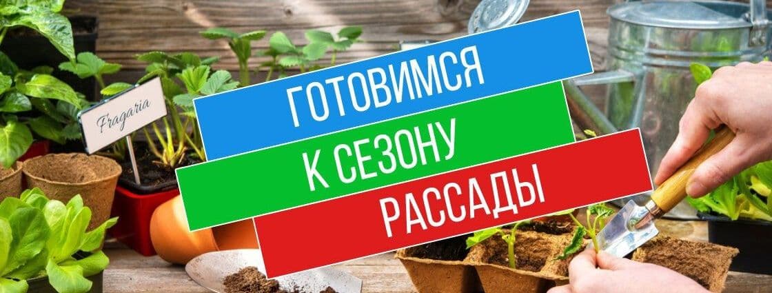 Семена и саженцы готовимся к сезону
