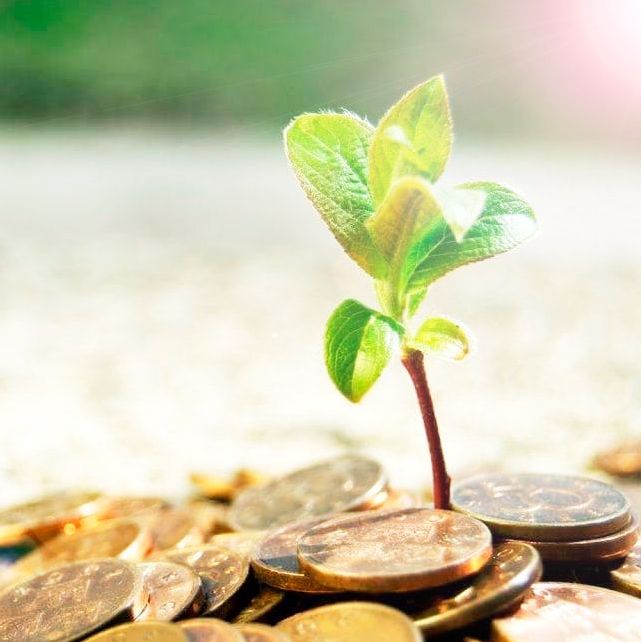 Купить 💰Инвестиционные стратегии