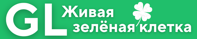 Хлорофилл комплекс GL Грин Лайт в оливковом масле жидкий пищевой. На нашем сайте вы можете заказать GL-Грин Лайт и GL-Грин Ойл. Быстрая доставка по Ро