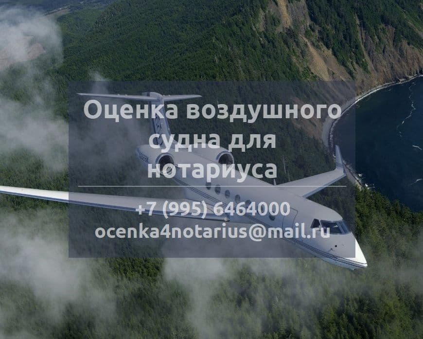 Оценка воздушного судна для нотариуса