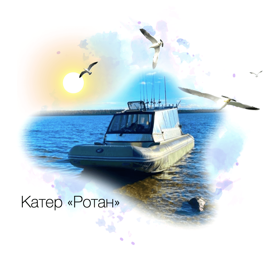Купить Трансфер по водеКатера или СВП (от 5 до 20 мест)⏱️ ~2:30-3:00 (120 км)