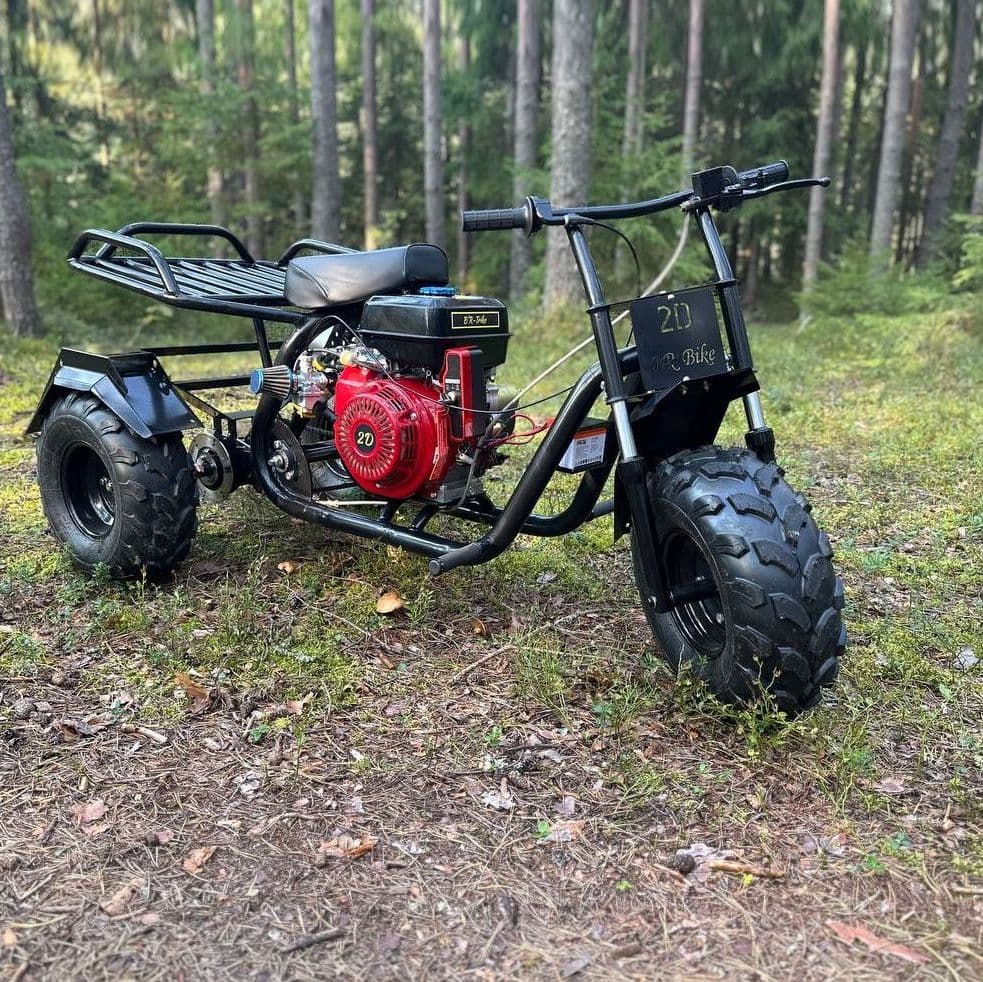 Купить Трицикл B’R-Trike