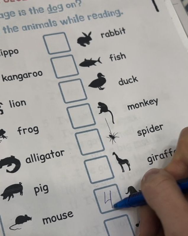 О проекте Mr Spot