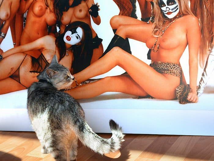 Kiss