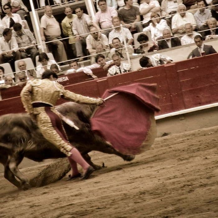Spanish Barselona La Pineda Испания Барселона Ла Пинеда