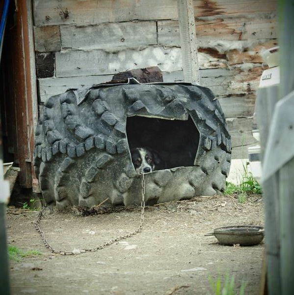 Сахалин, Россия, Фактуры, Ебеня, Жизнь, Разное, Жанр, Как в сказке, Фотографии, Фото, Photo, Живём, СССР, Россия, Карафуто, 