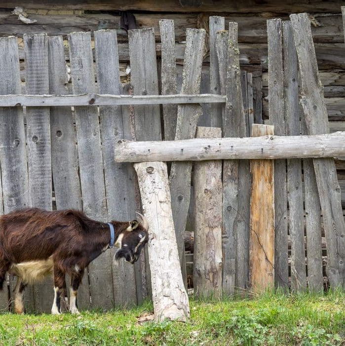 Sakhalin, Сахалин, Karafuto, Карафуто
