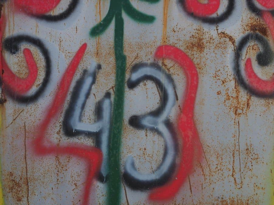 43