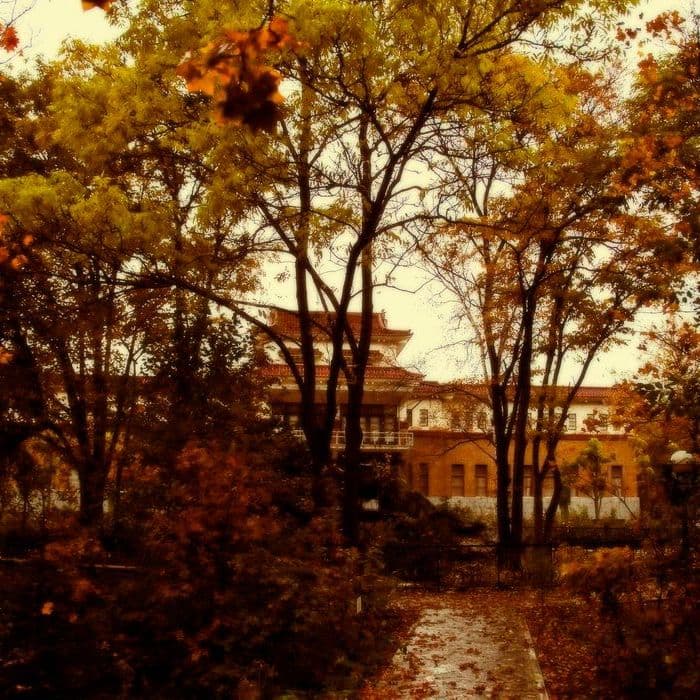 Сахалин, Россия, Фактуры, Ебеня, Жизнь, Разное, Жанр, Как в сказке, Фотографии, Фото, Photo, Живём, СССР, Россия, Карафуто, Музей